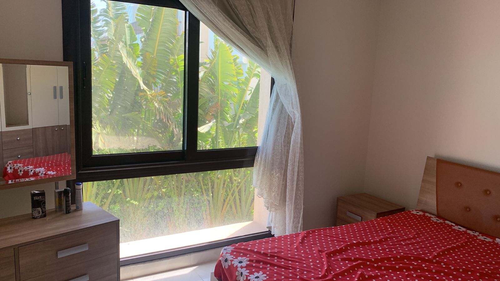 صورة مصغرة 13