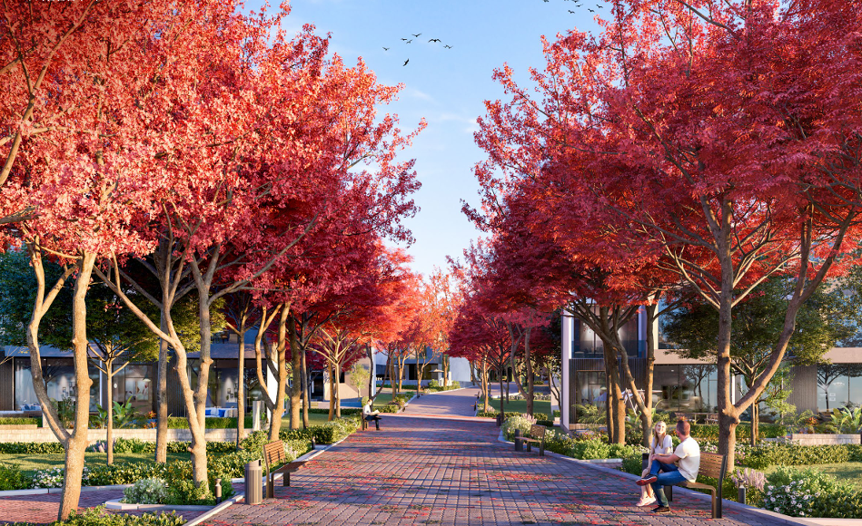 صورة مصغرة 4