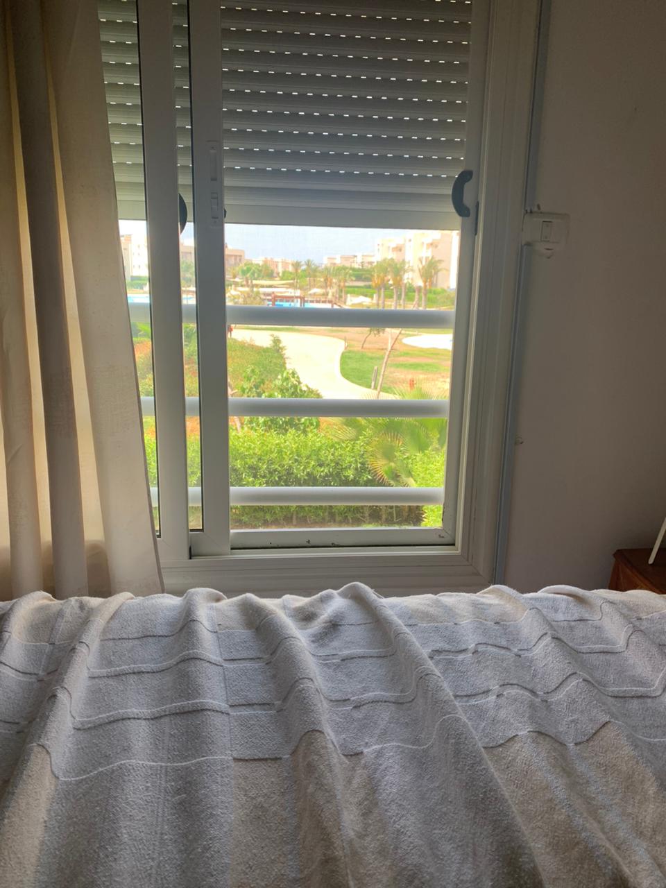 صورة مصغرة 13