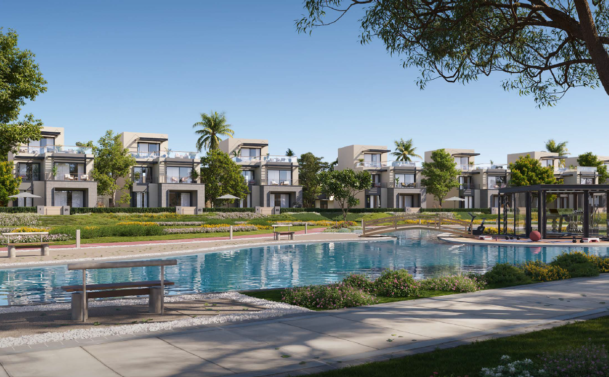 صورة العقار