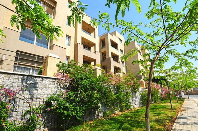 صورة العقار