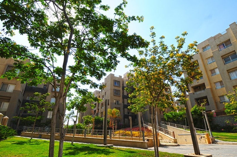 صورة العقار