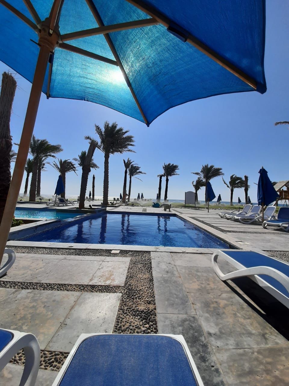 صورة العقار