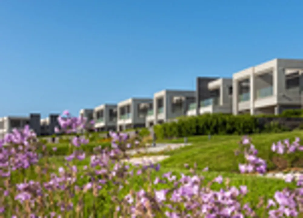 صورة العقار