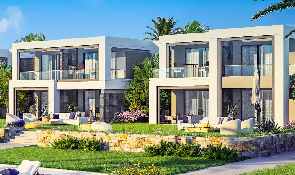 صورة العقار