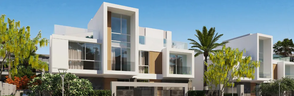 صورة العقار