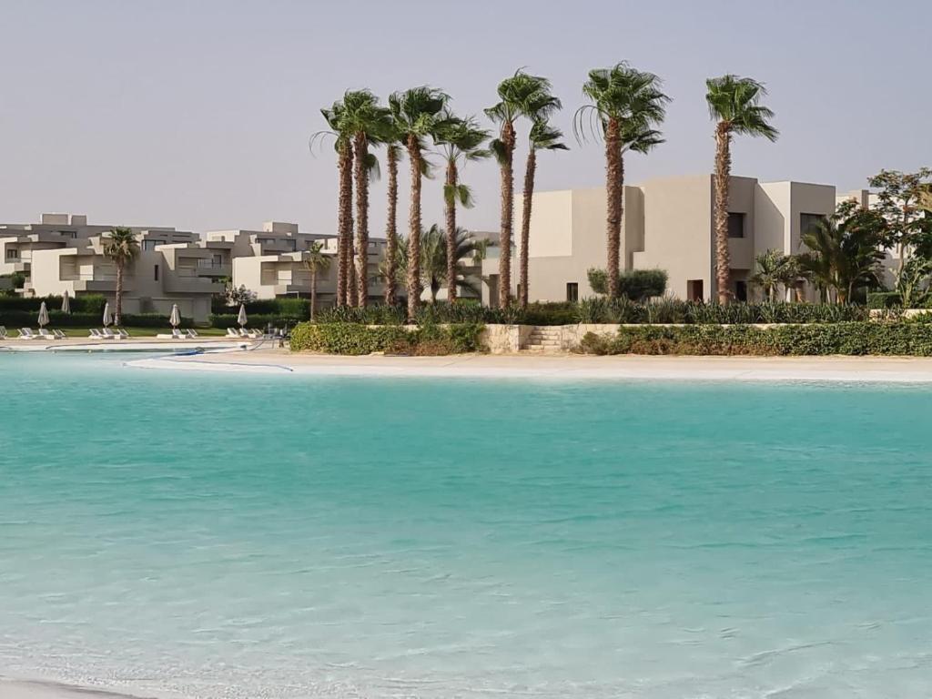 صورة العقار