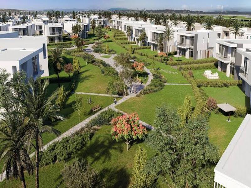 صورة العقار