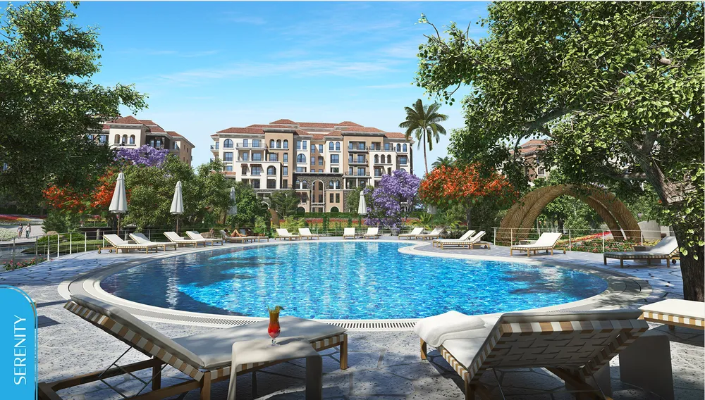 صورة العقار