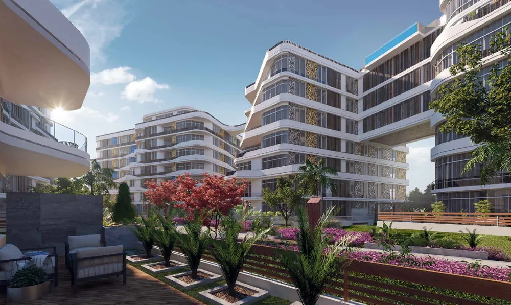 صورة العقار