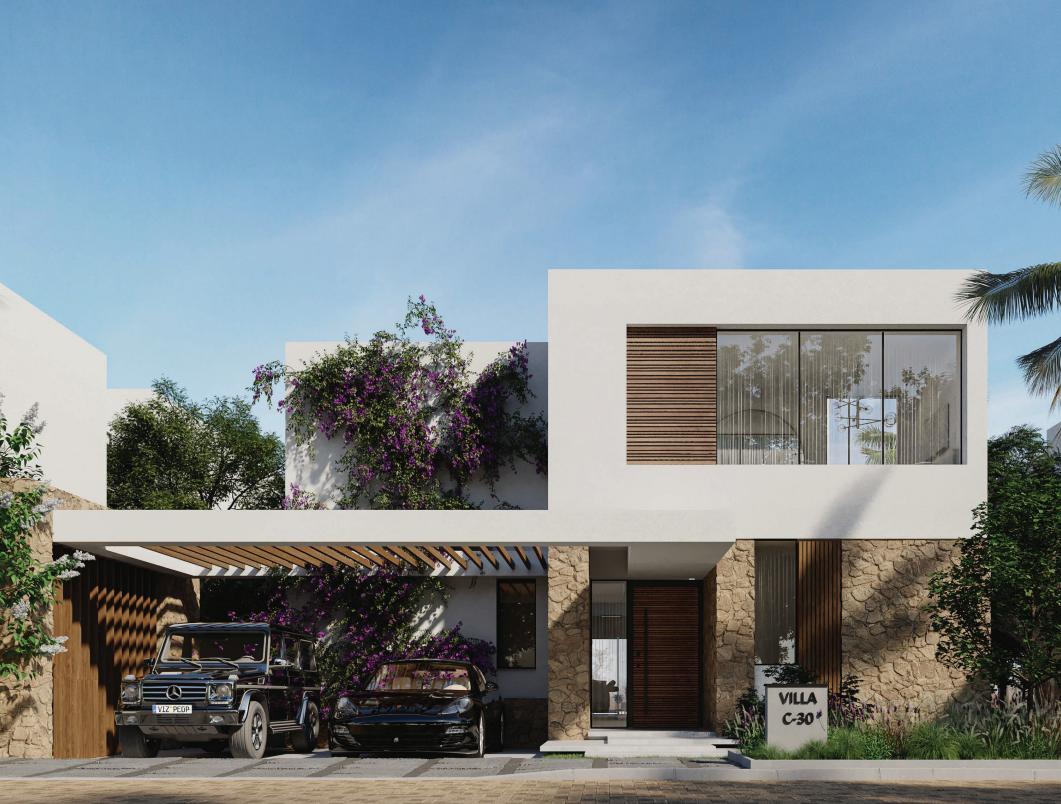 صورة العقار