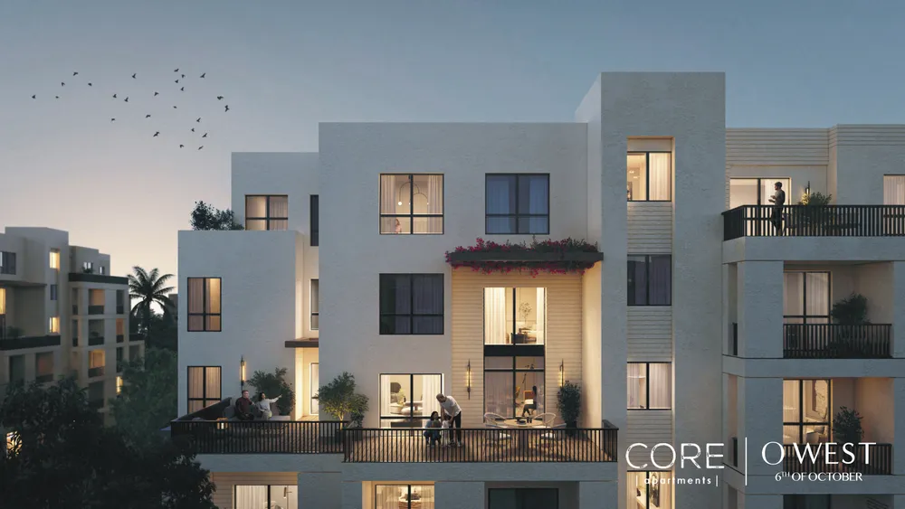 صورة العقار