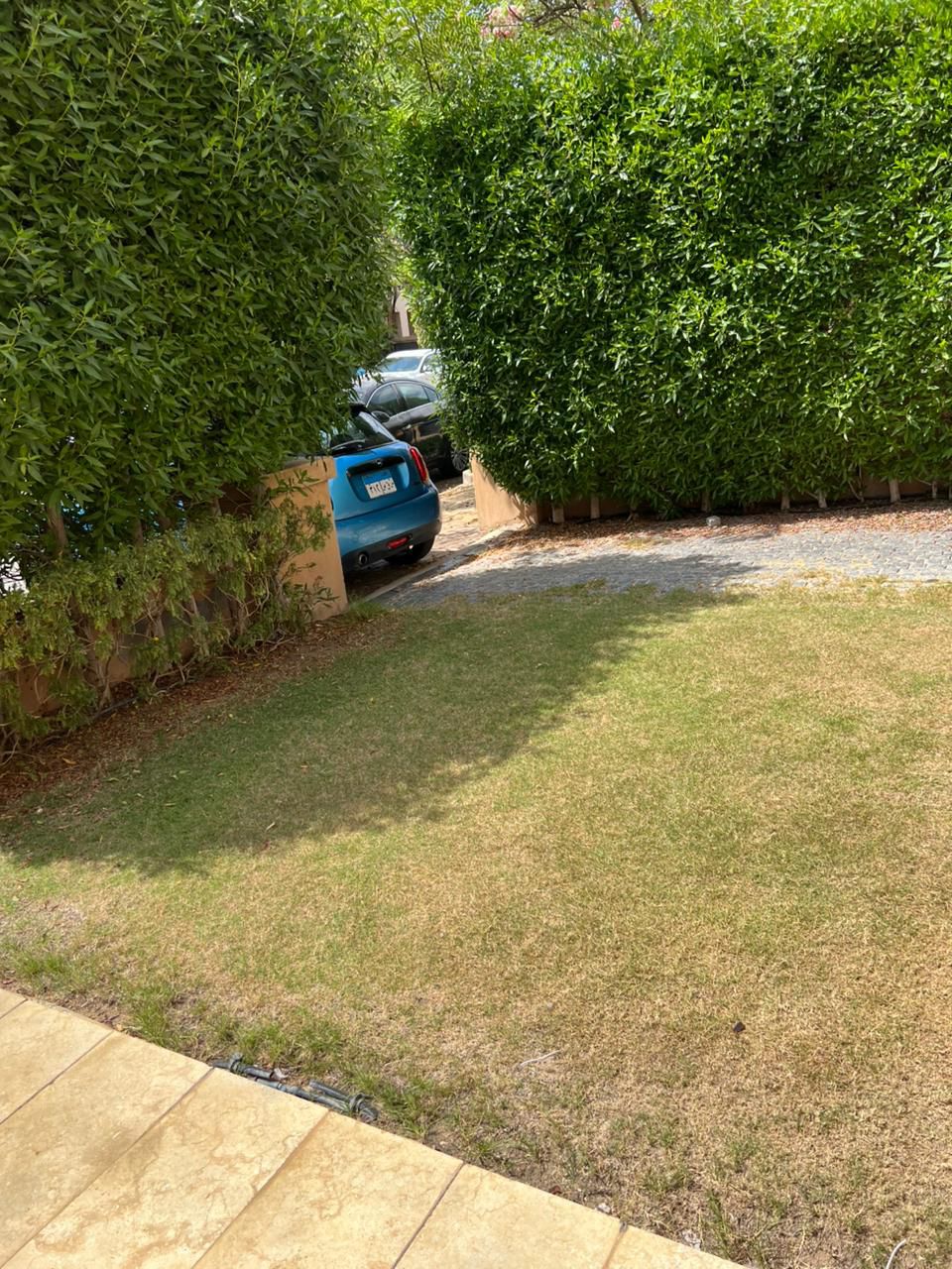 صورة العقار