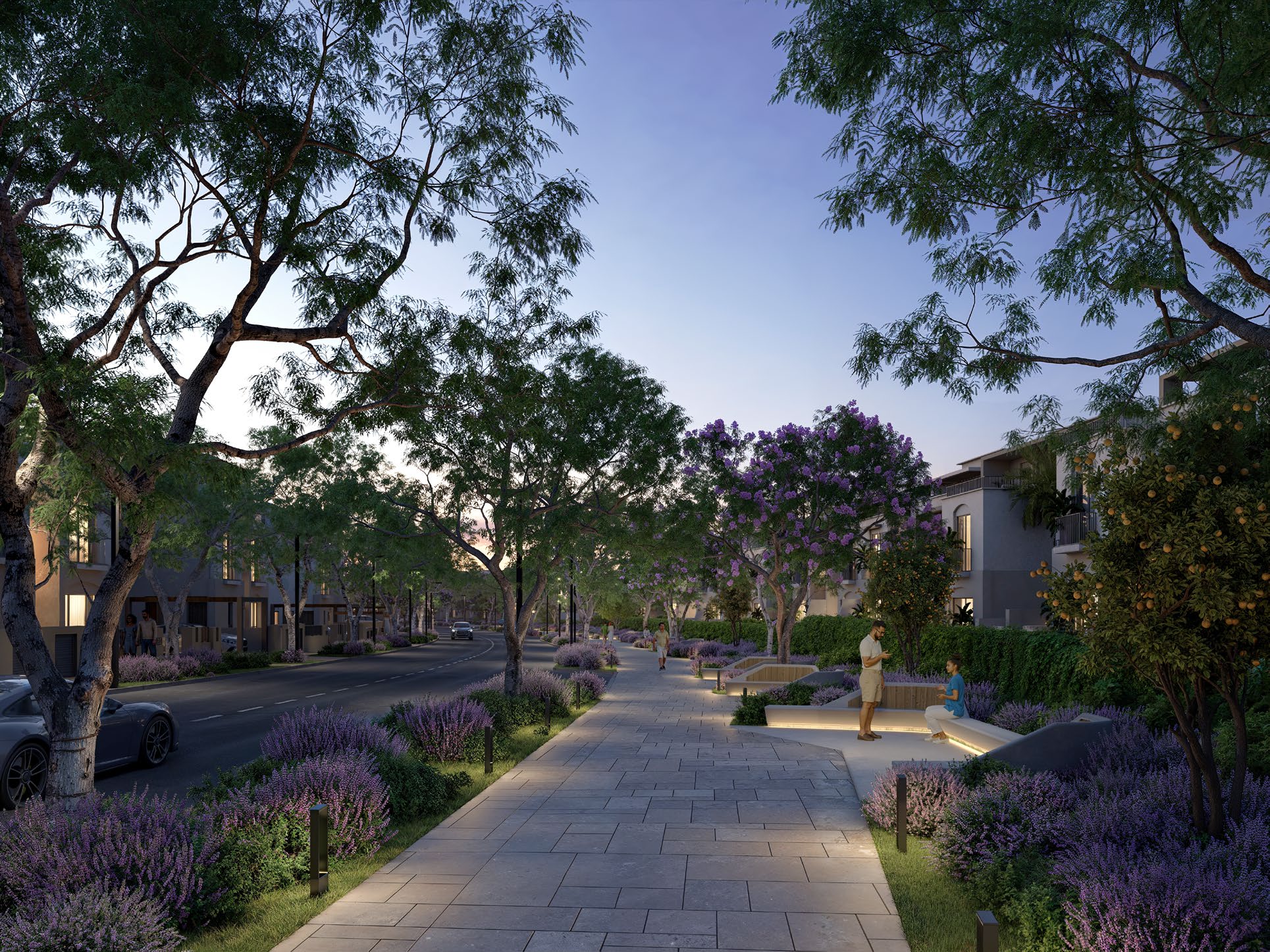 صورة العقار