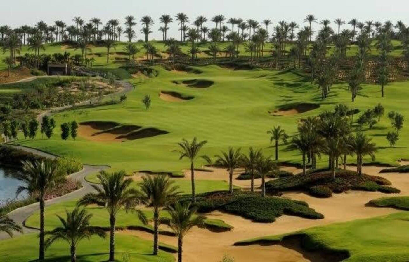 صورة العقار