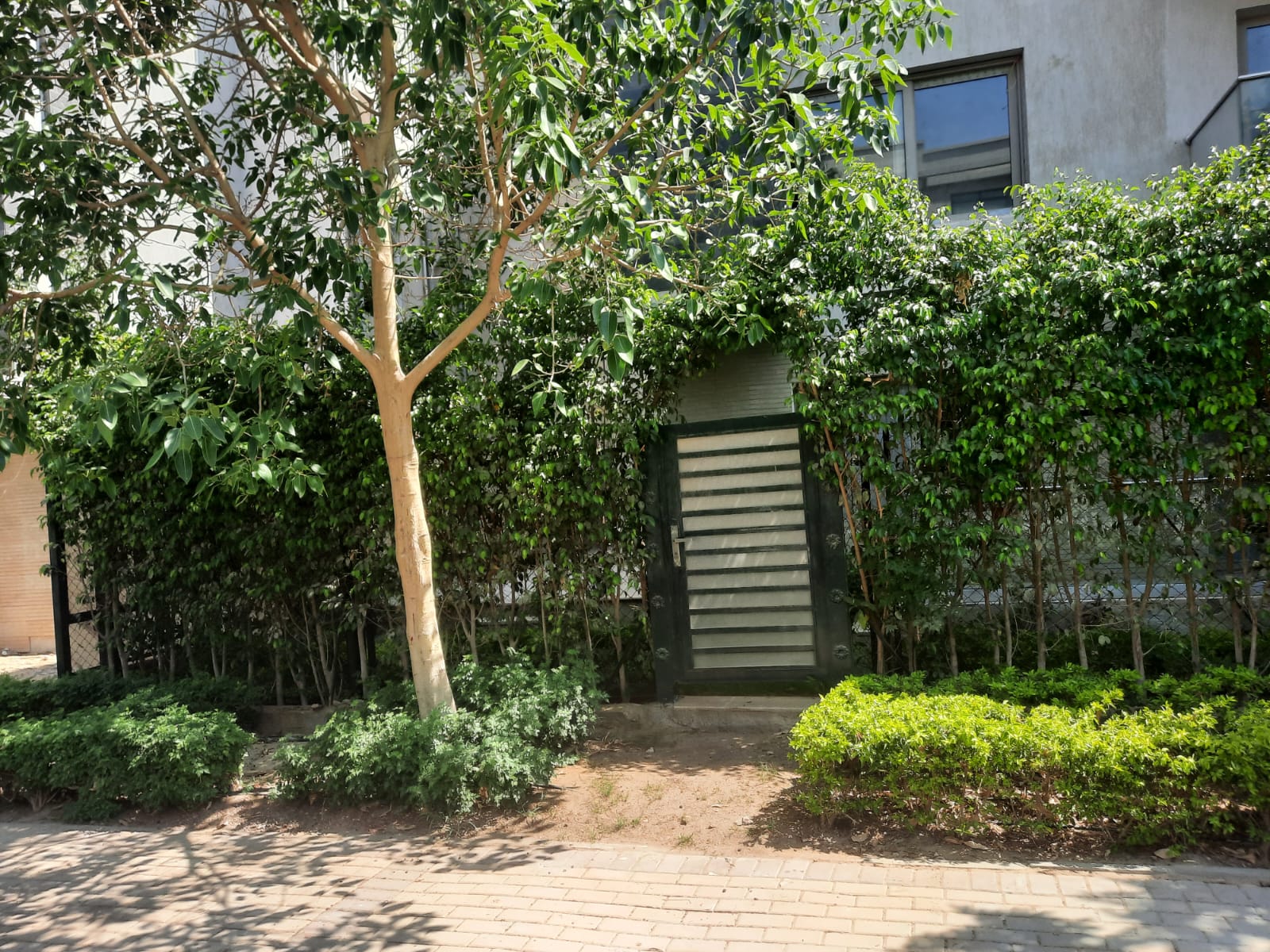 صورة العقار