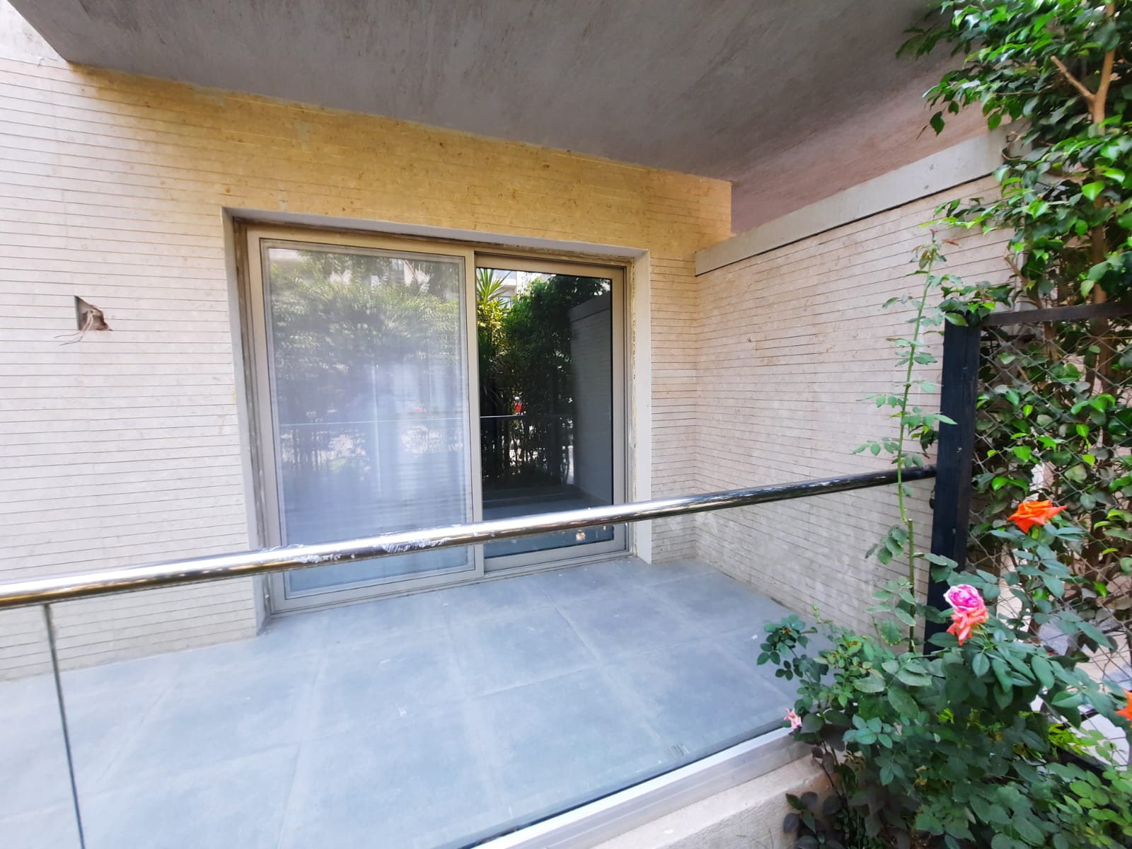 صورة العقار