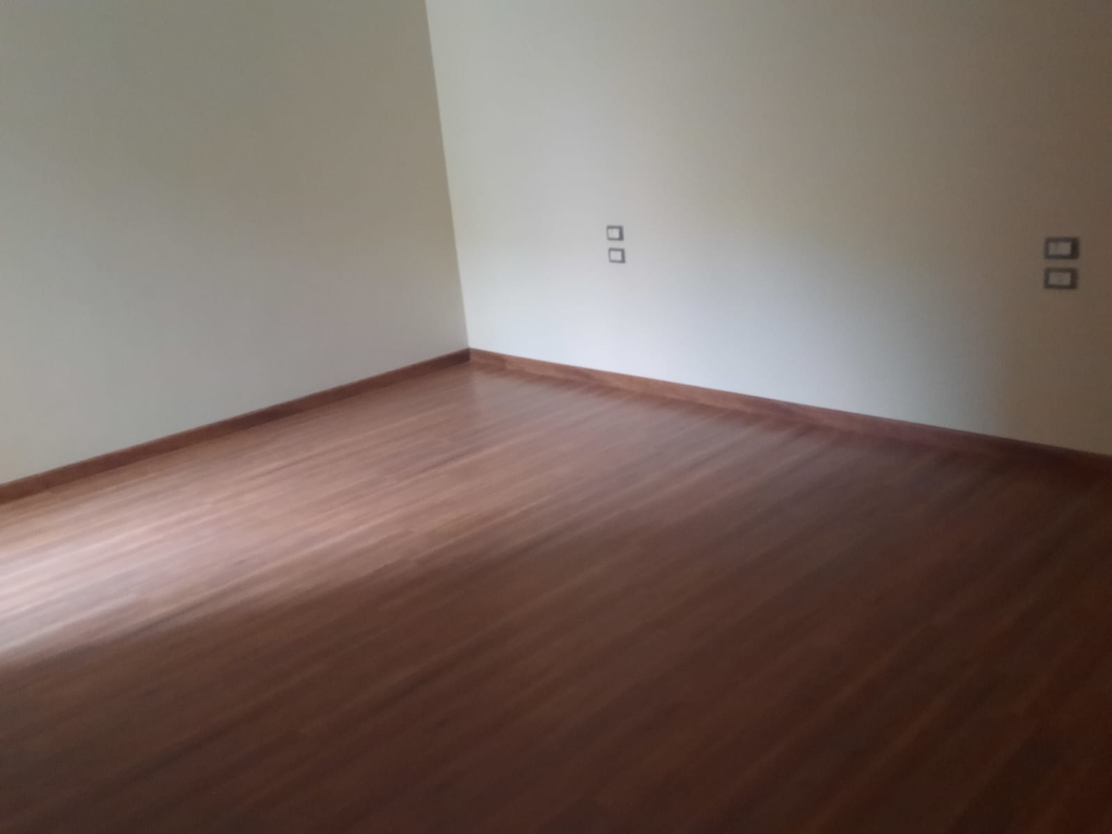 صورة العقار