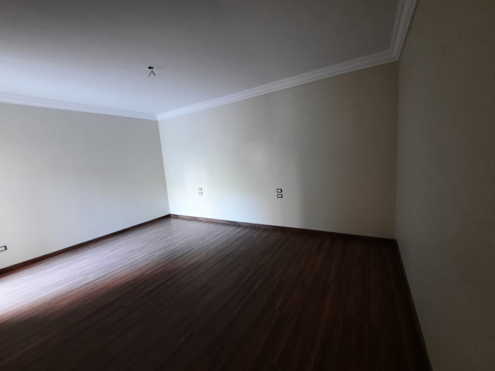 صورة العقار