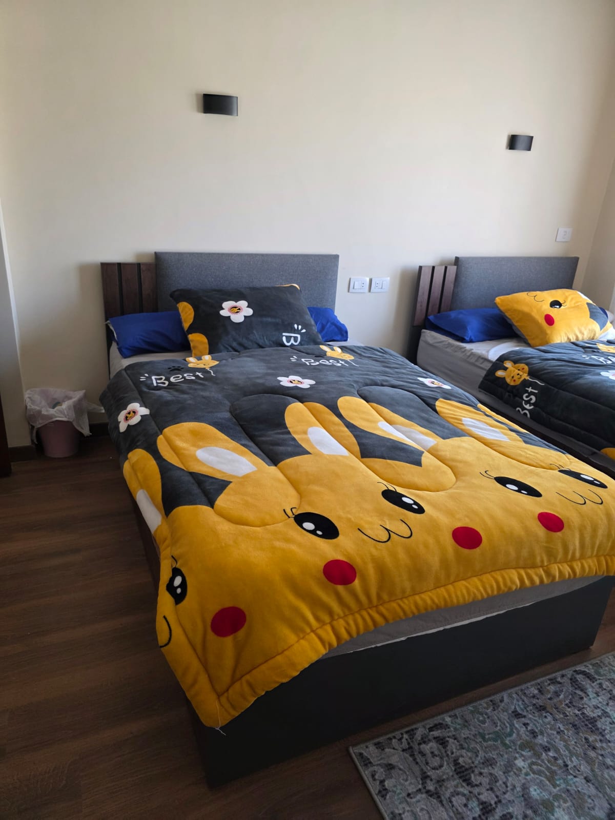 صورة العقار