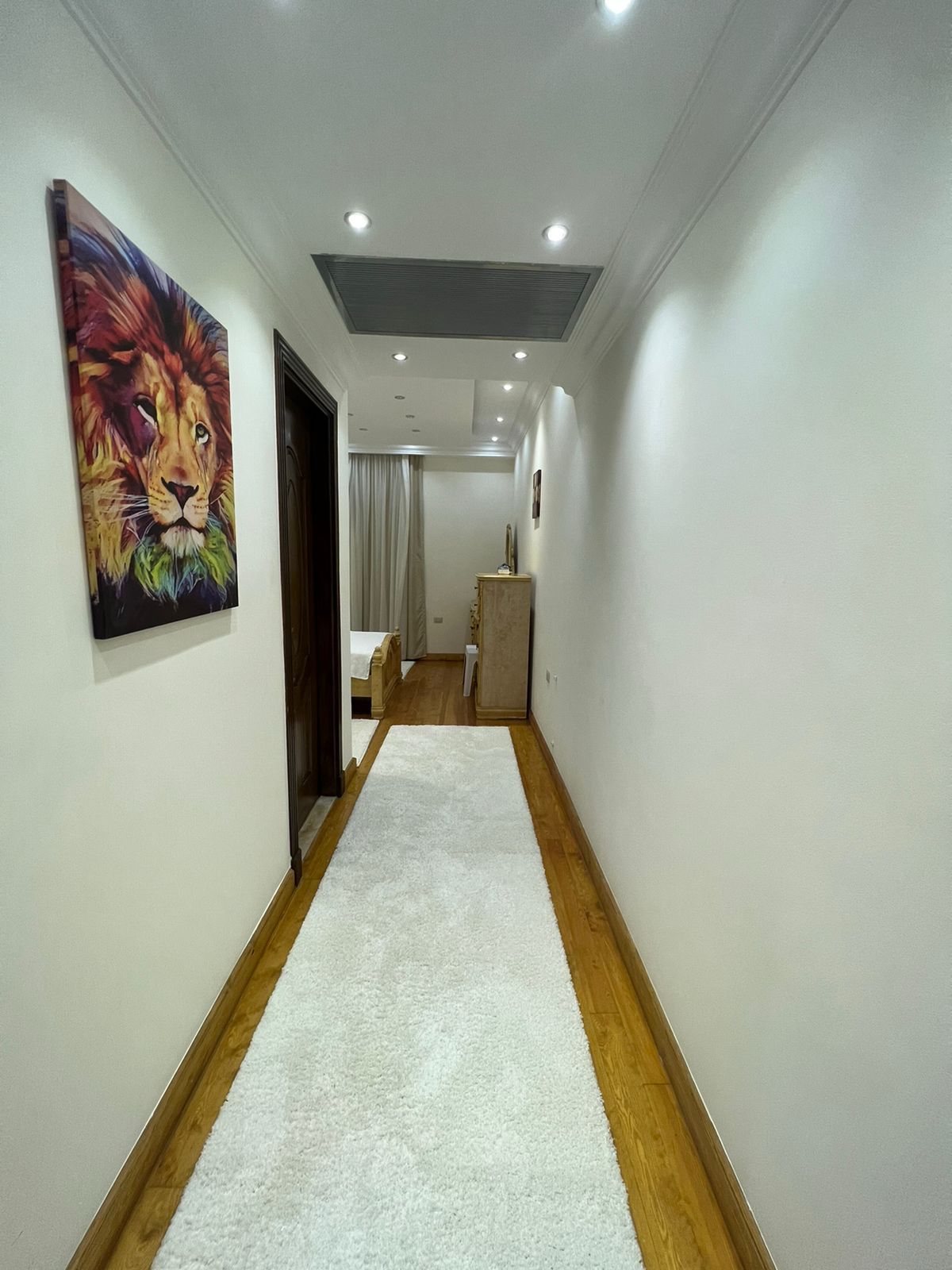 صورة العقار