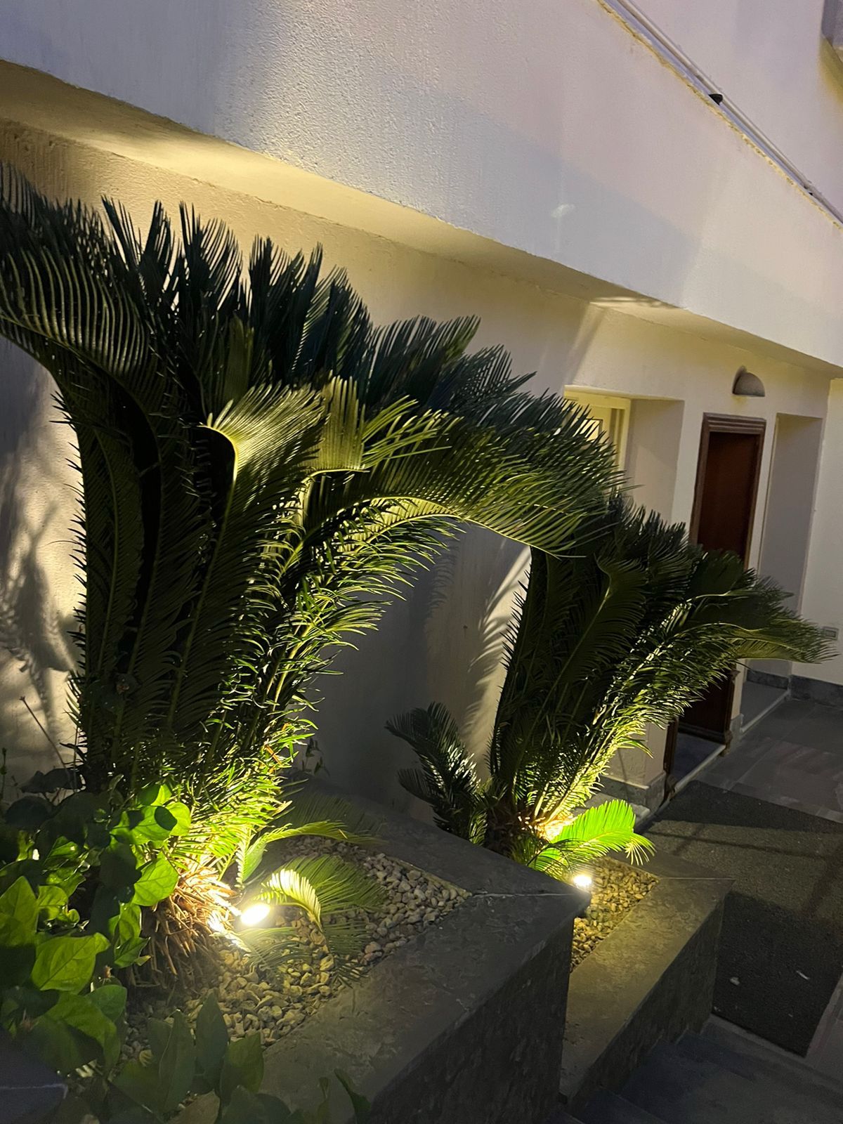 شقة مفروشة بالكامل للإيجار في ليك فيو ريزيدنس