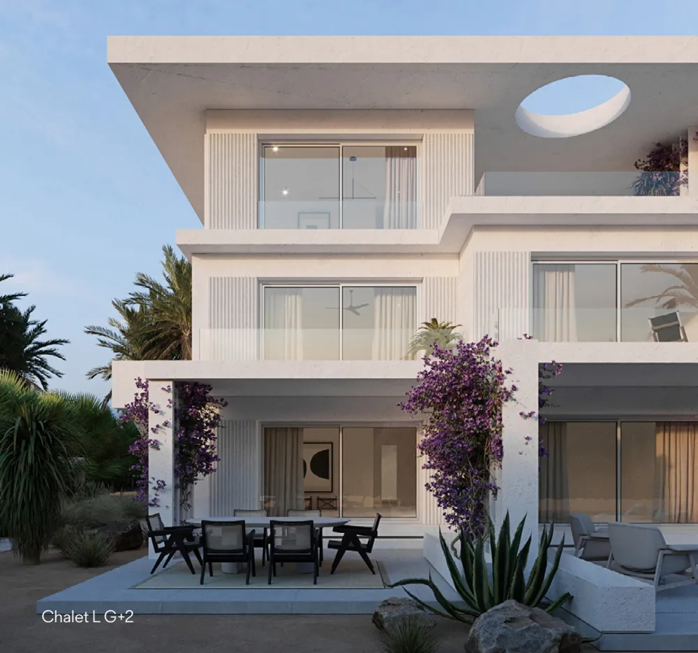 صورة العقار