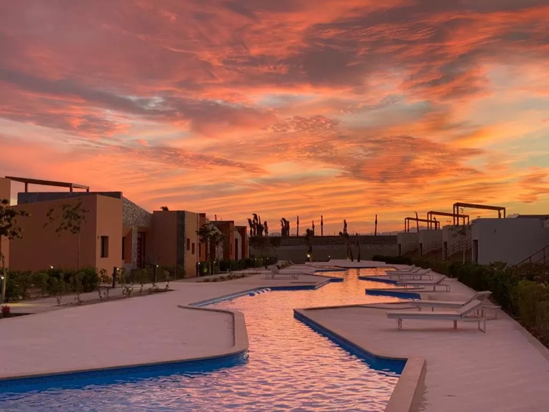 صورة العقار