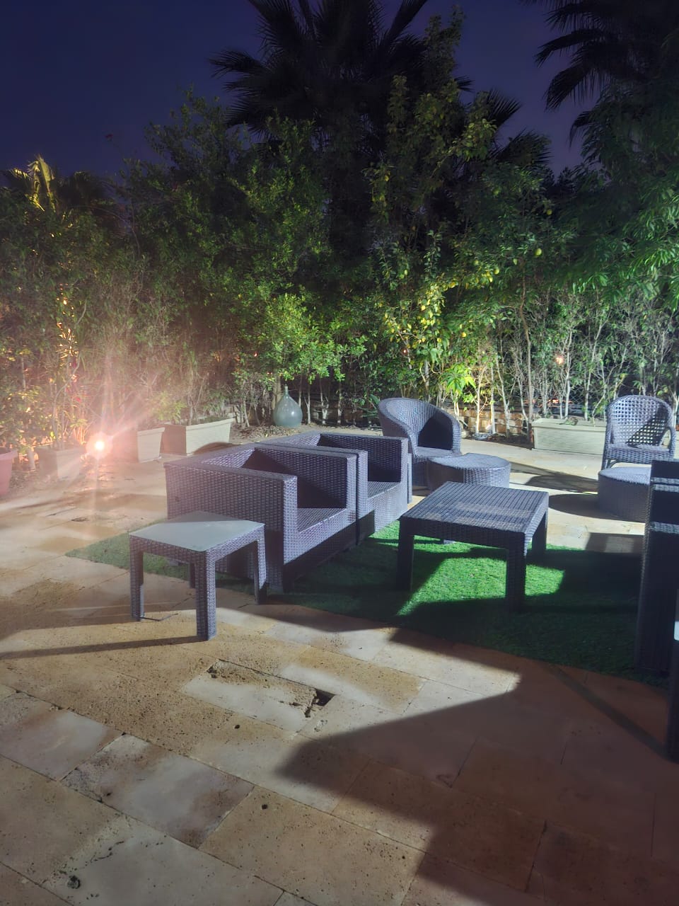 صورة العقار