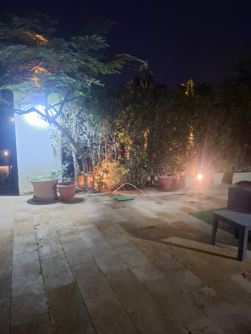 صورة العقار