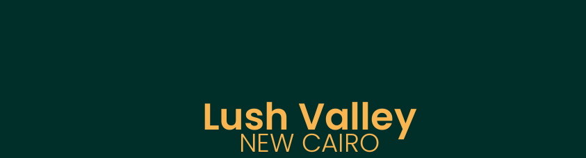 صورة العقار