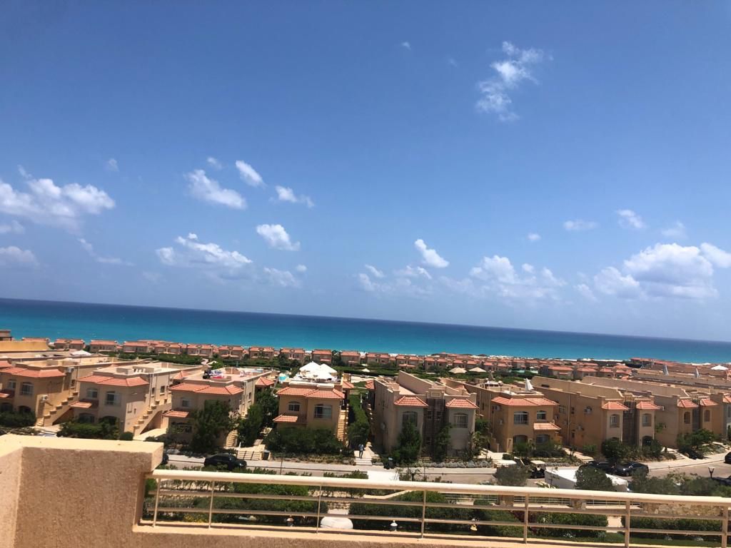 صورة العقار