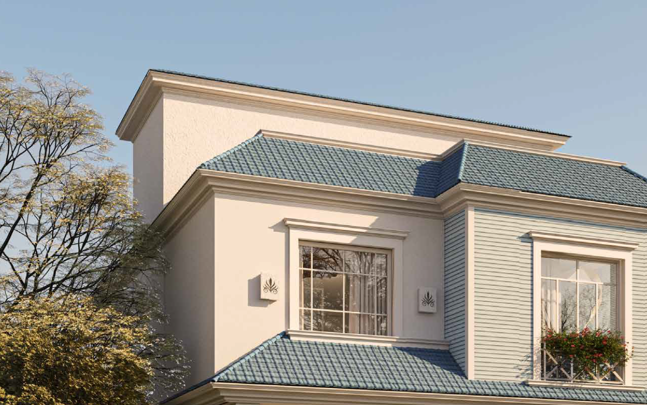 صورة العقار