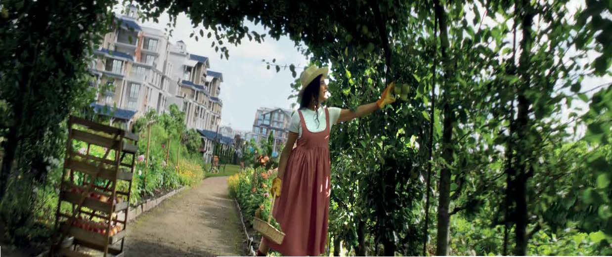 صورة العقار