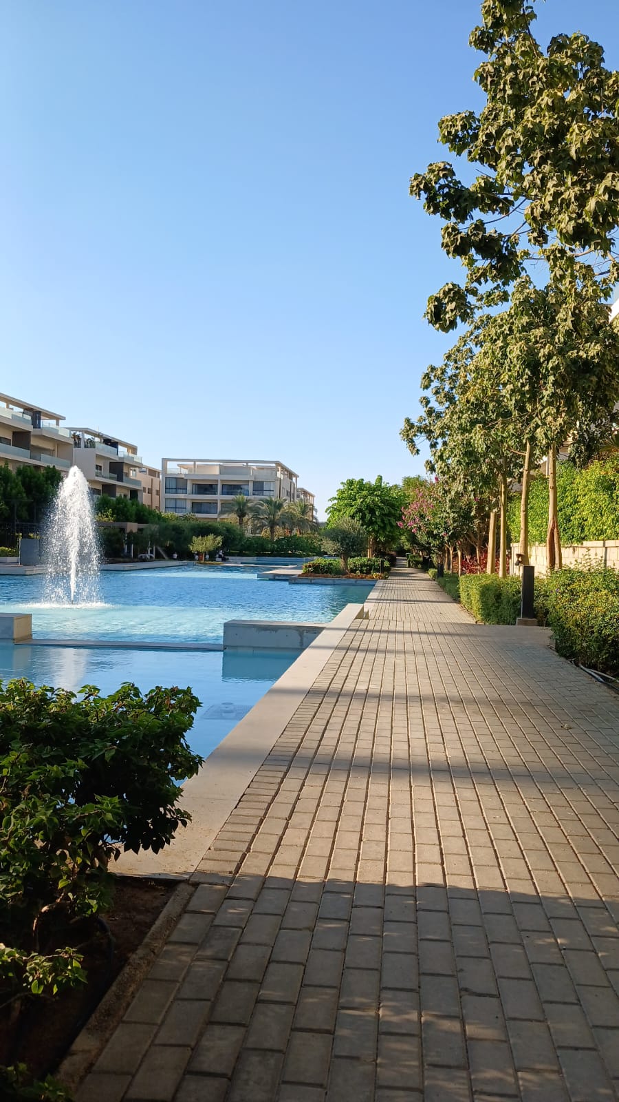 Furnished Penthouse 4Br For Rent in Lake View