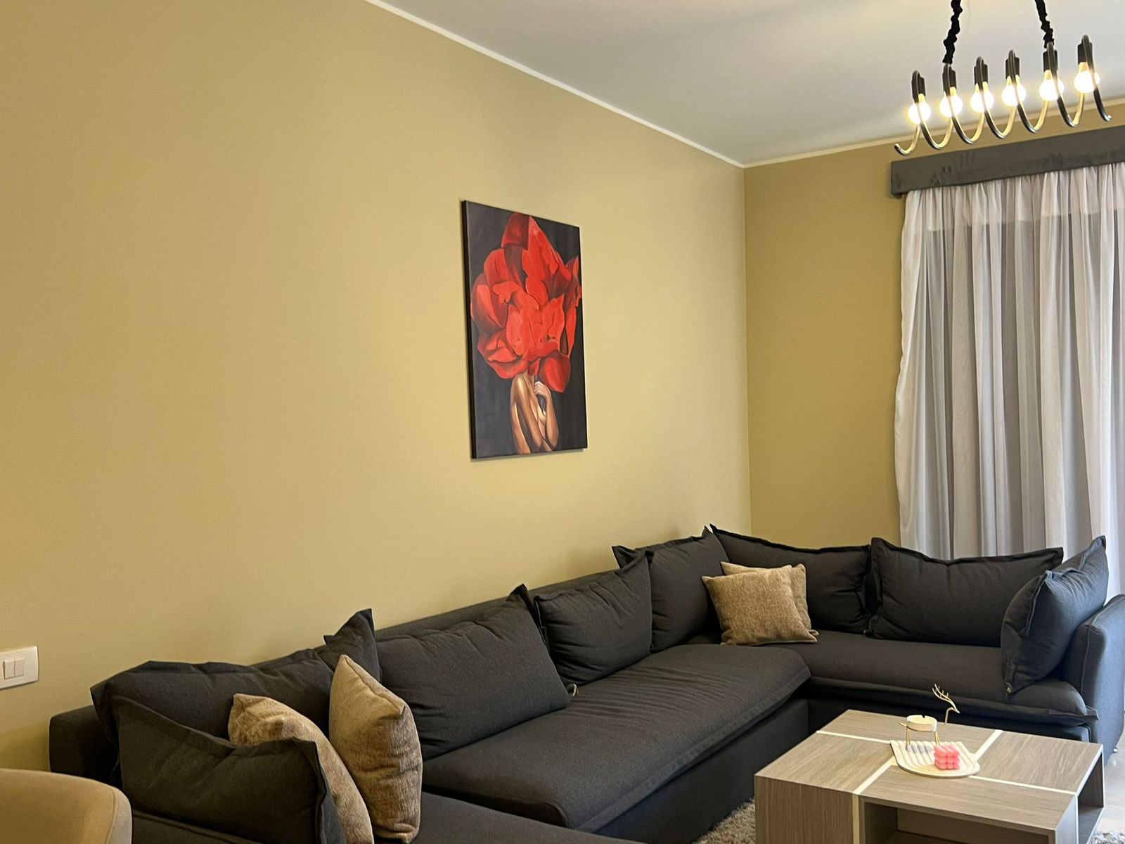 صورة العقار