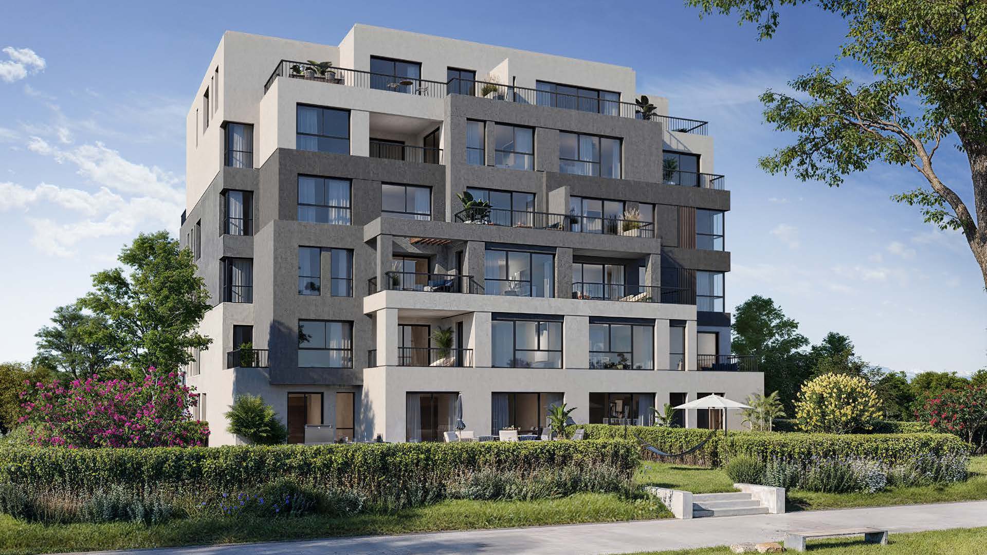 صورة العقار