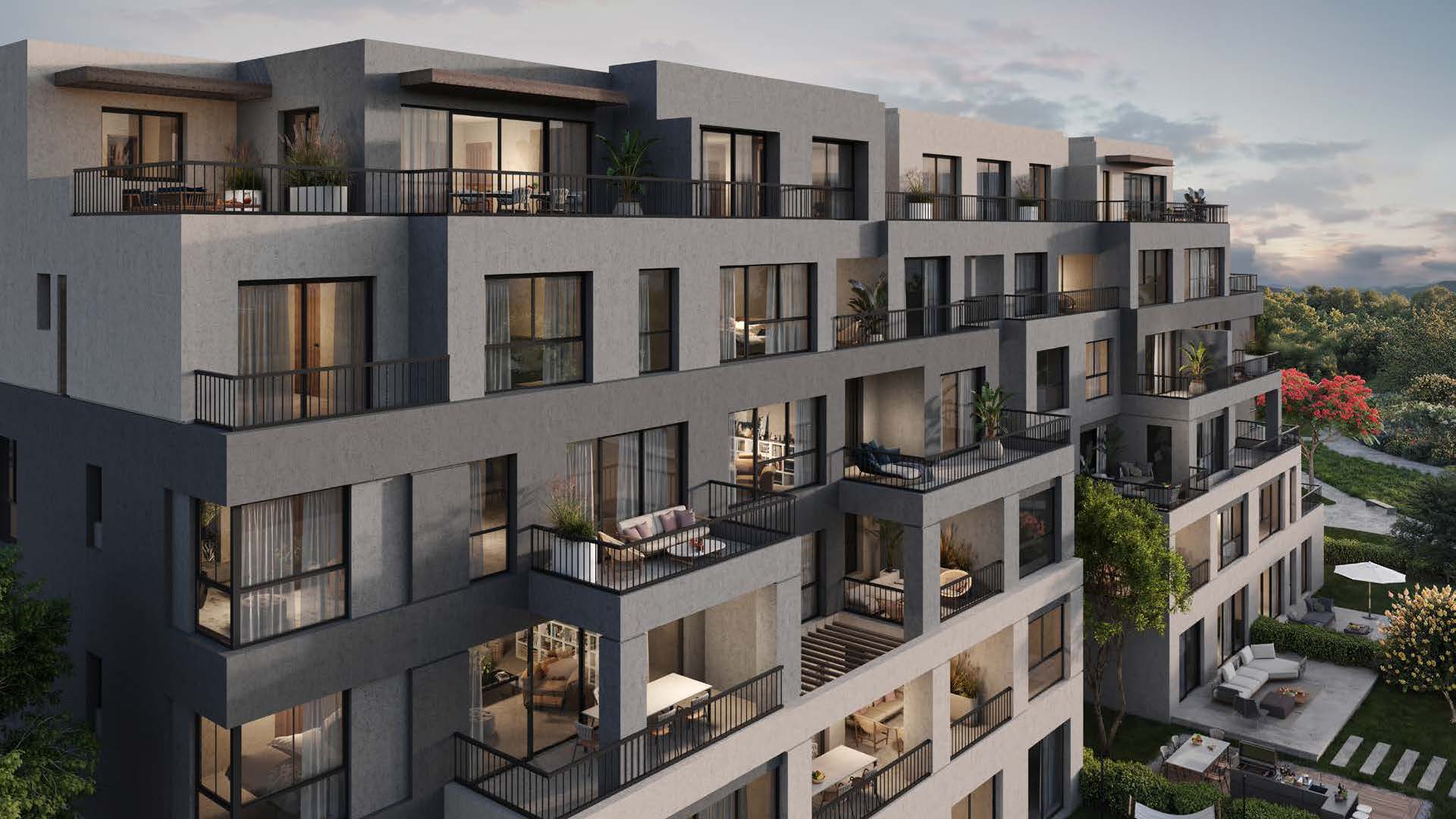 صورة العقار