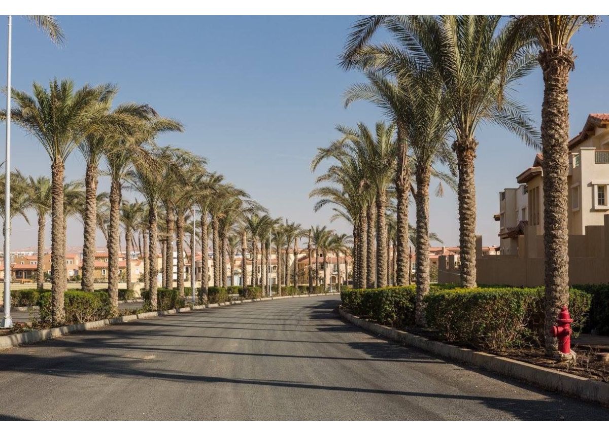 صورة العقار