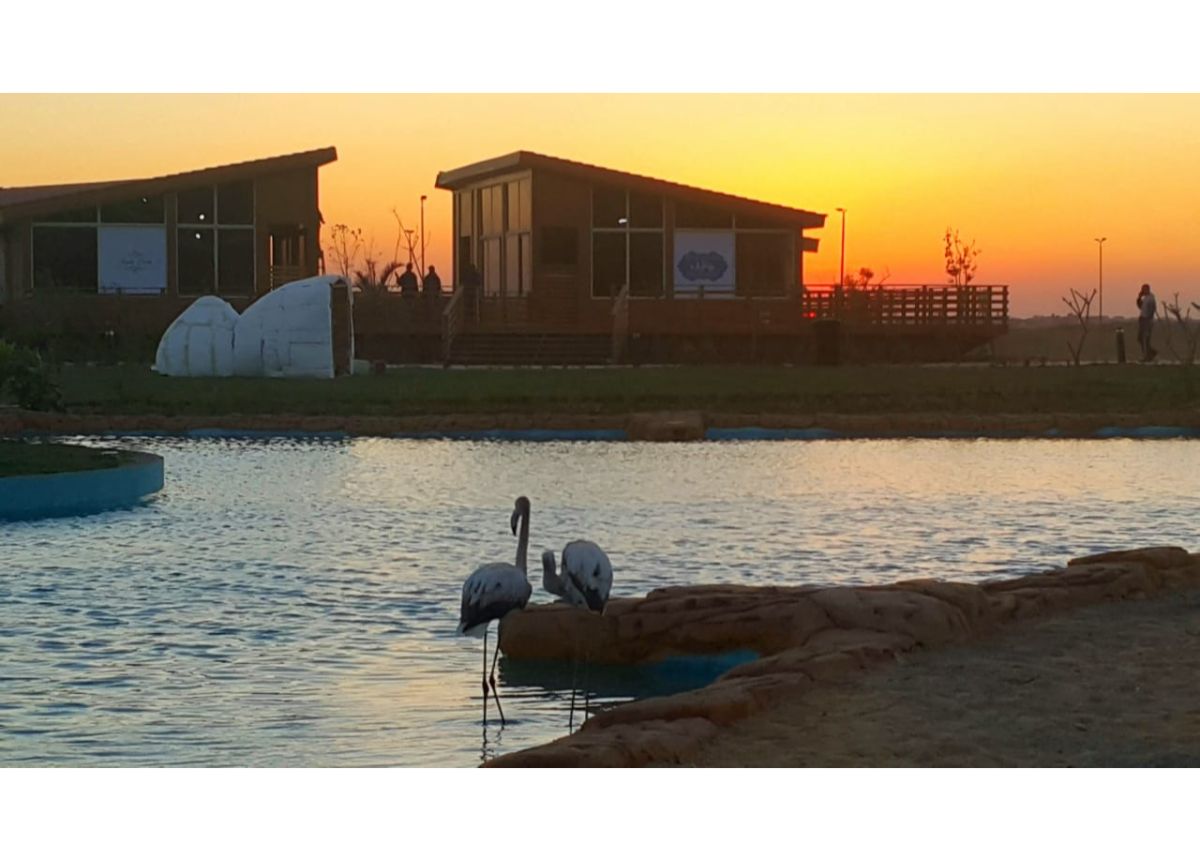 صورة العقار