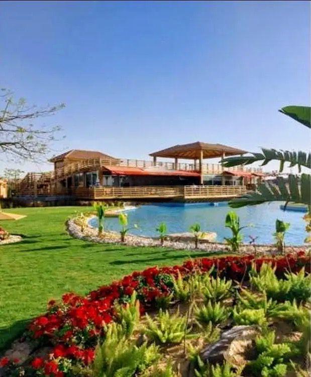 صورة العقار