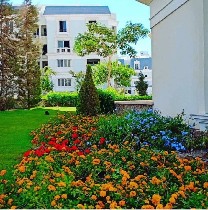 صورة العقار