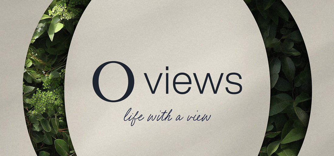 صورة العقار