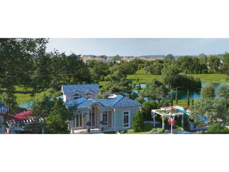 صورة العقار