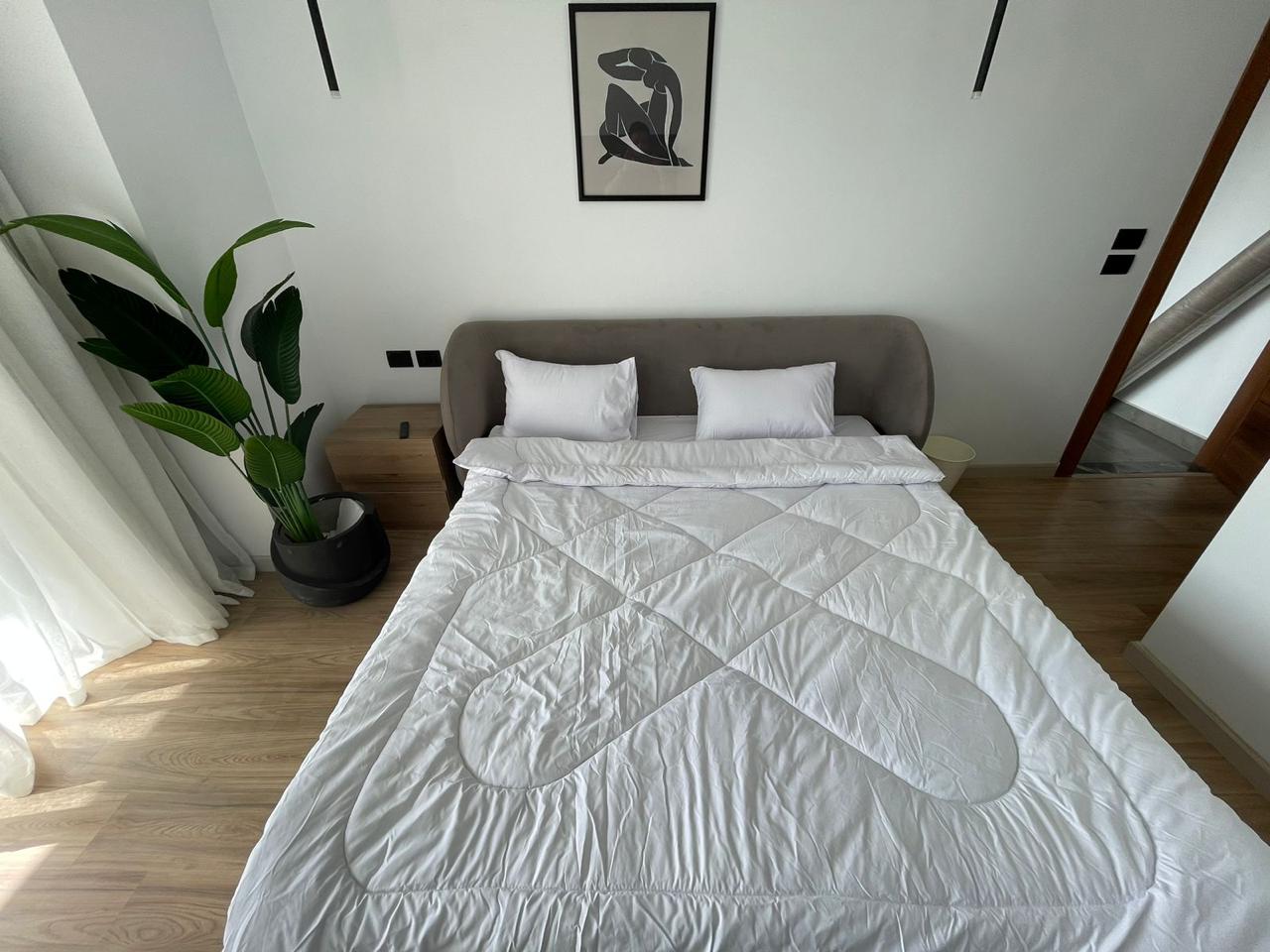 صورة العقار