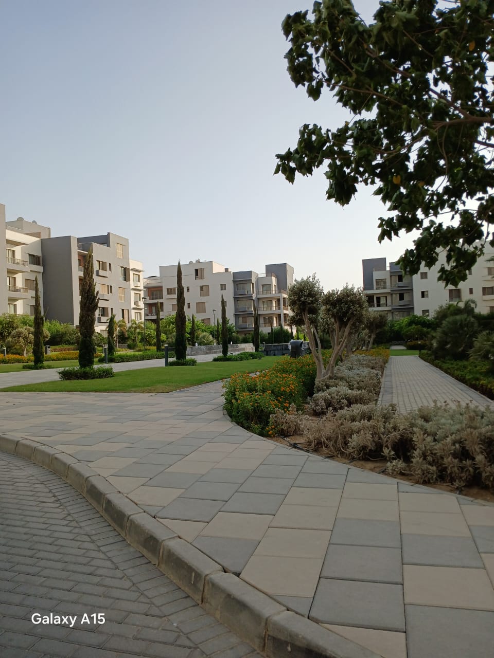 صورة العقار