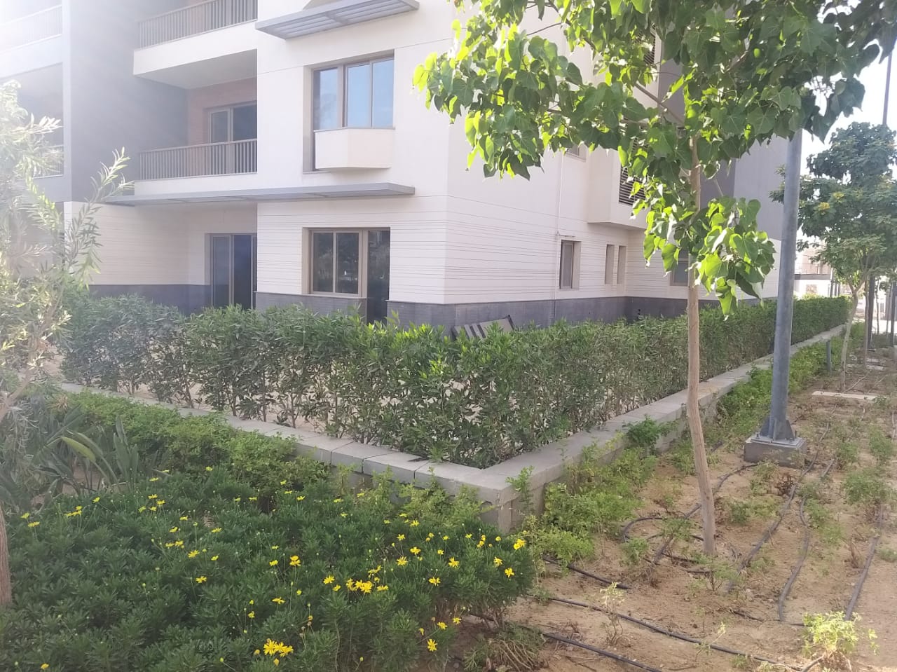 صورة العقار