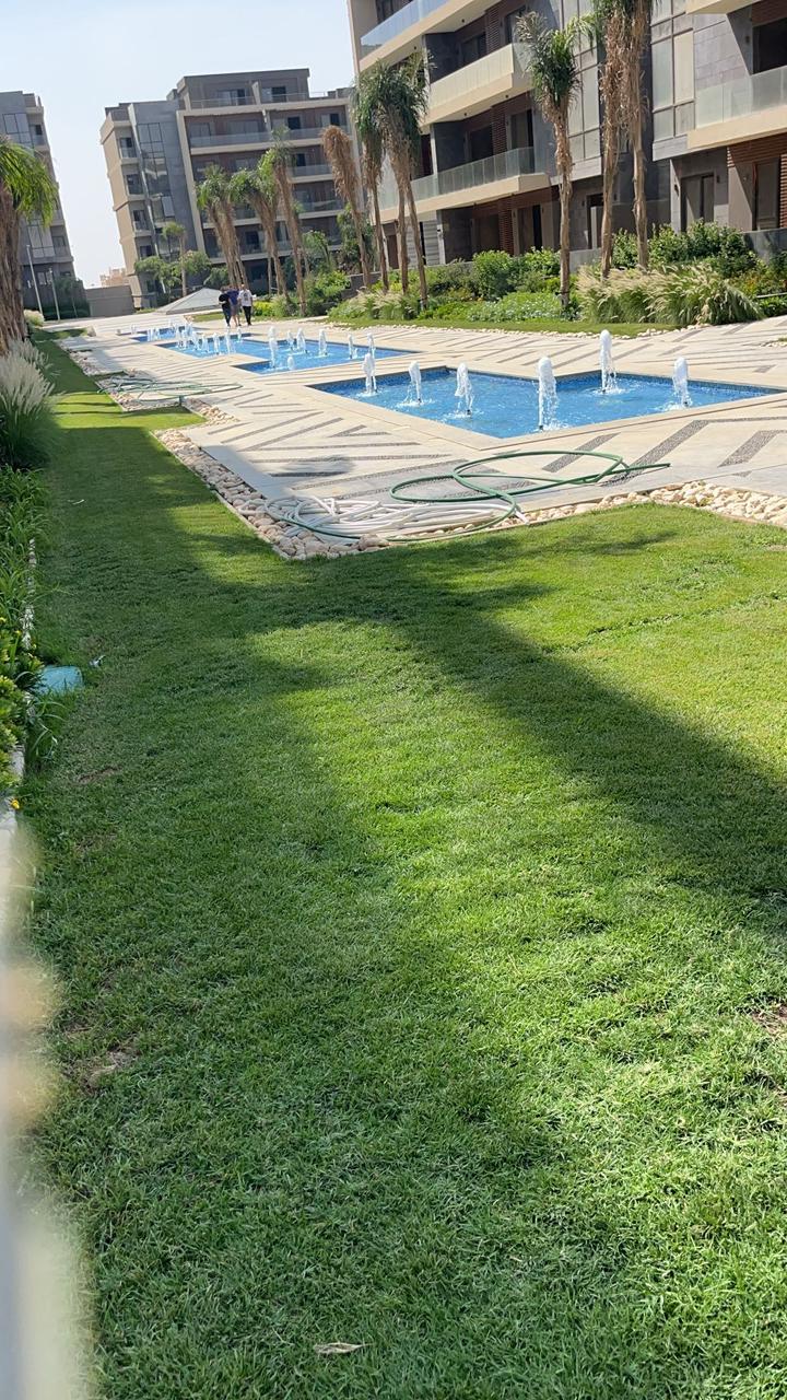 صورة العقار