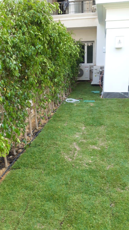 صورة العقار