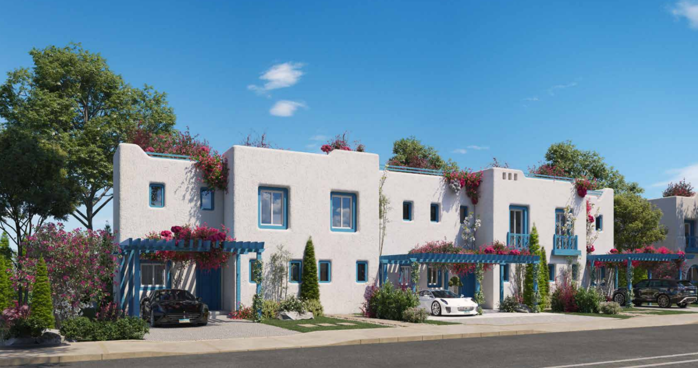 صورة العقار